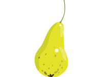 Comice Pear
