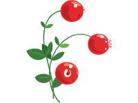 Cranberry