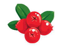 Foxberry