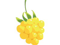 Golden Raspberry