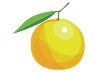 Grapefruit