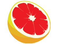 Graprefruit Slice