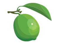 Lime