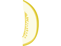 Melon Slice