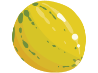 Melon