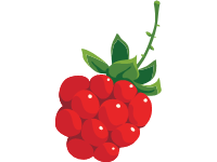 Raspberry Branch
