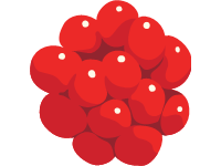 Raspberry