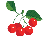 Red Cherries