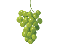White Grapes