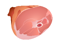 Ham