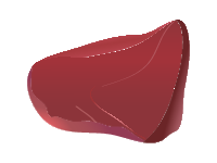 Liver