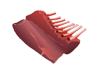 Venison