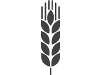 Gluten Free