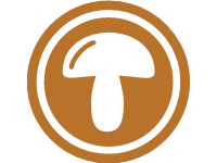 Mushroom Free