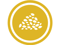 Sesame Free
