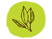 Leaves 1