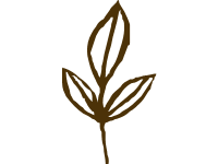 Leaves 2