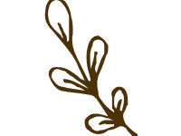 Leaves 3