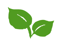 Leaves 4