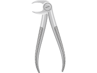 Dental Pliers
