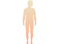 Male Body