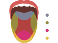 Tongue