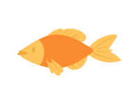 Gold Fish