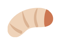 Worm 2