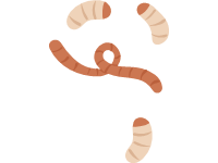 Worms
