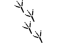Steps 1
