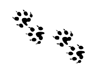 Steps 2