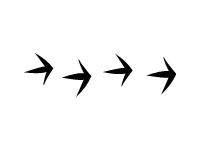 Steps 3