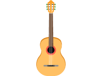 Acoustic guitar