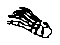 Feet
