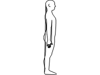 Human Body Profile Left