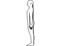 Human Body Profile Right