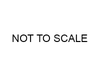 Not to Scale
