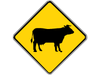 Cattle Crossing