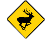 Deer Crossing