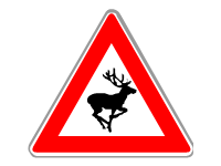 Wild Animals