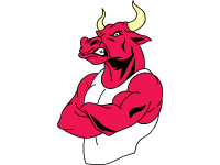 Angry Bull