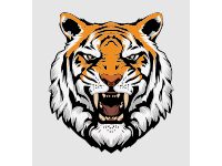 Angry Tiger