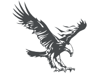 Band W Eagle