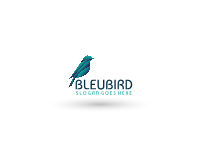Blue Bird