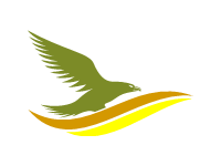 Eagle Bird