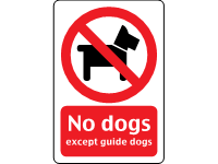 No Dogs Allowed
