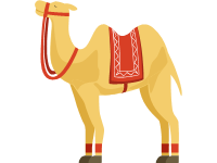 Camel