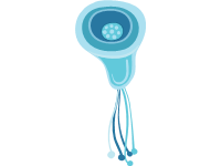 Bacteriophage