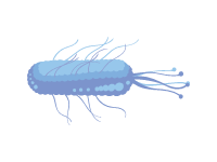 Cancer Cell
