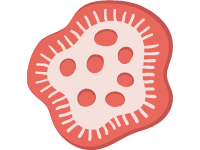 Cell 1